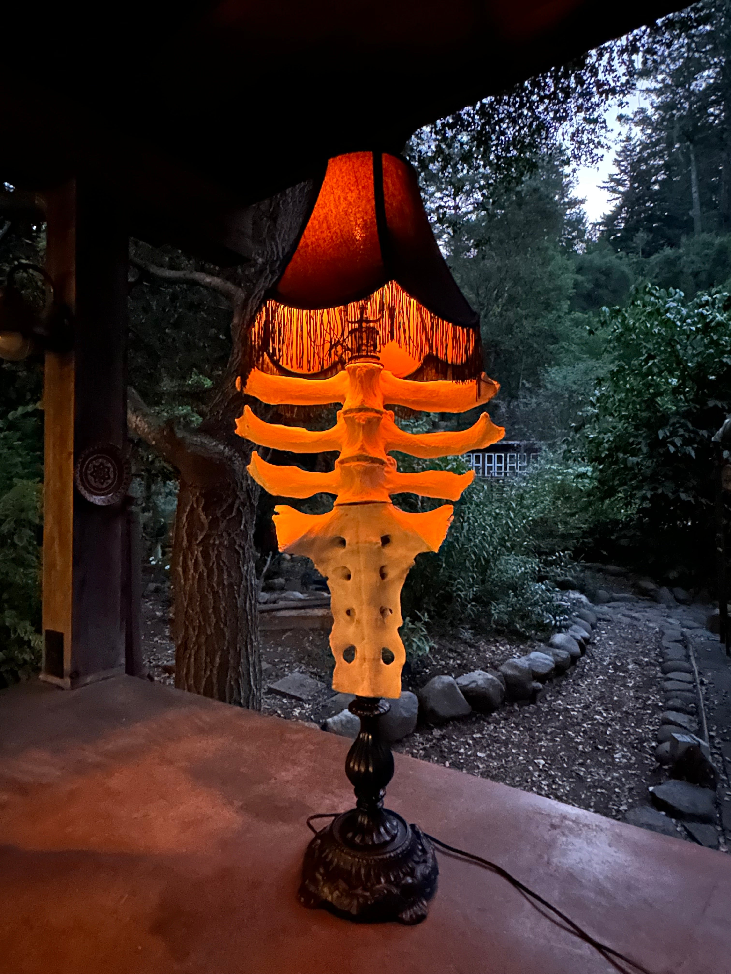 Cow Vertebrae and Sacrum Lamp